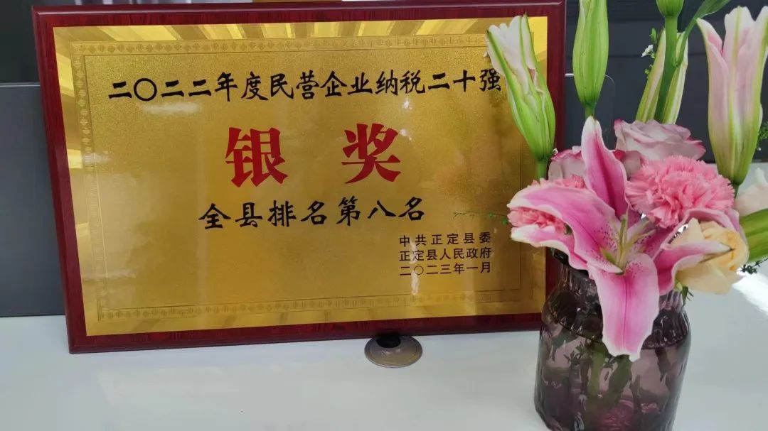 榮譽(yù) | 常宏裝飾榮獲正定縣2022年度民營(yíng)企業(yè)納稅二十強(qiáng)銀獎(jiǎng)